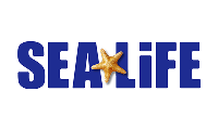 Logo 1